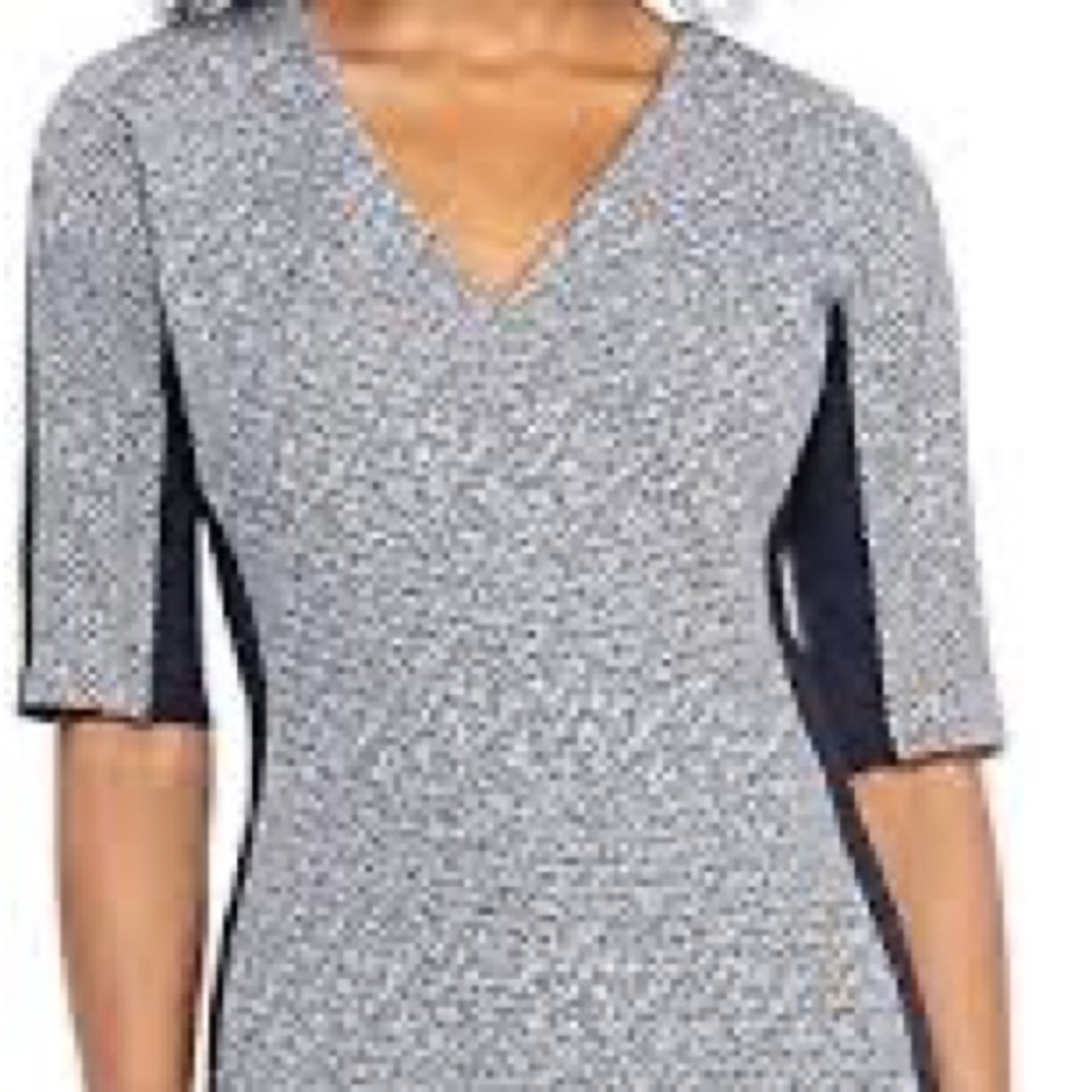 Maggy London Women's Novelty Midi Sheath size 4